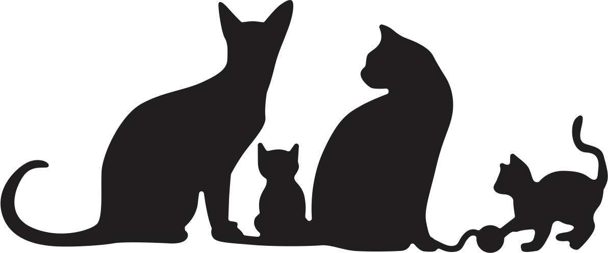 Suaje de Corte de Gato / Kitty Kitty Meow Meow