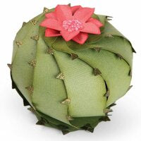 sizzix succulent dies Suajes Cortar Plantitas Papel Suculentas Cactus Troquel Sizzix – Hobbees