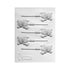 Sheet-Bears Lollipop Mold / Molde de Paleta de Osito Descontinuado Lorann Gourmet