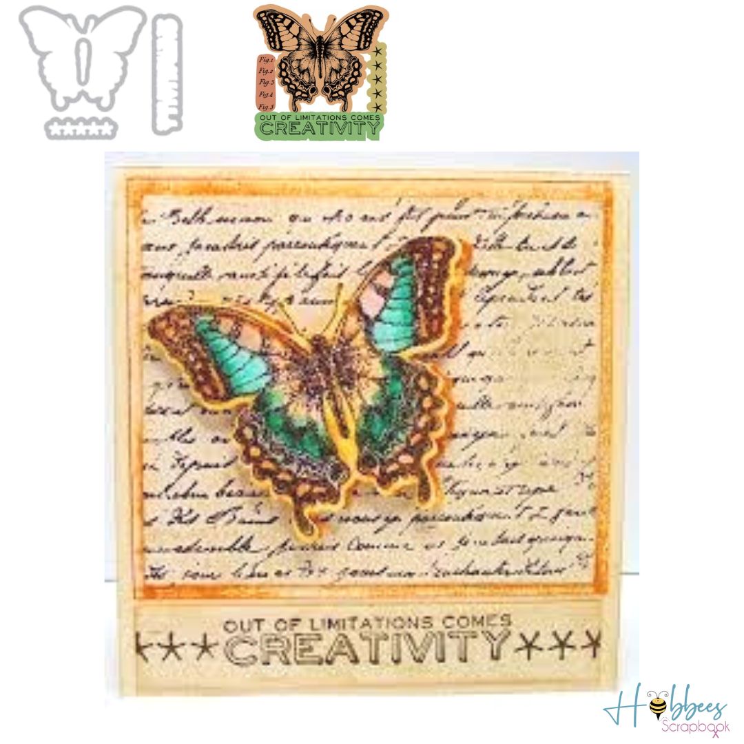 Framelits Die with Clear Acrylic Stamp Set Limitations / Suajes y Sellos de Mariposa