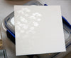 Detail Clear Embossing Powder / Polvo de Realce Transparente