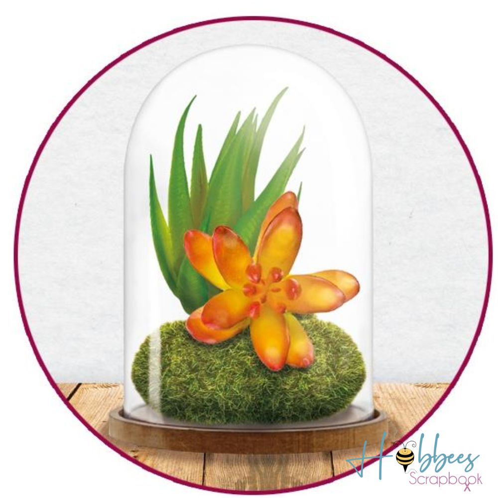 DIY Clear Plastic Dome With Wood Base / Cúpula de Plástico con Base de Madera Adornos / Embellishments Multicraft Imports