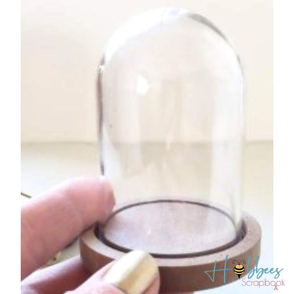 DIY Clear Plastic Dome With Wood Base / Cúpula de Plástico con Base de Madera Adornos / Embellishments Multicraft Imports