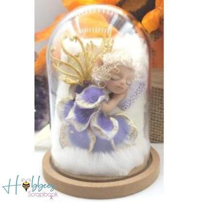 DIY Clear Plastic Dome With Wood Base / Cúpula de Plástico con Base de Madera Adornos / Embellishments Multicraft Imports