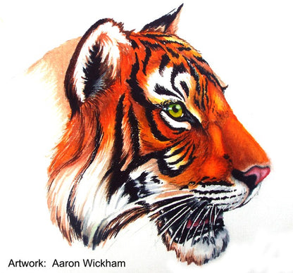 Chameleon Color Tones Markers 5 Pc Warm Tones / Marcadores Camaleon Cálidos Colores y Plumones Chameleon