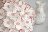 Hydrangea  / Perforadora de Flor hortensia