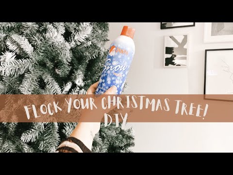 Snow Frost Aerosol Spray / Aerosol de Escarcha de Nieve Chase