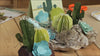 2D &amp; 3D Succulents Dies / Suaje de Suculentas