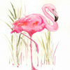 Pink Art Watercolor Pencil / Estuche de Lapices Acuarelables